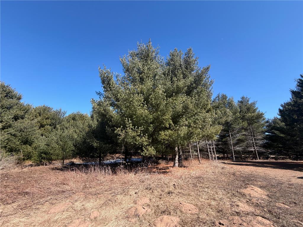 27102 Daniel Drive Meenon Twp WI 54893 - Devils 7040574 image46