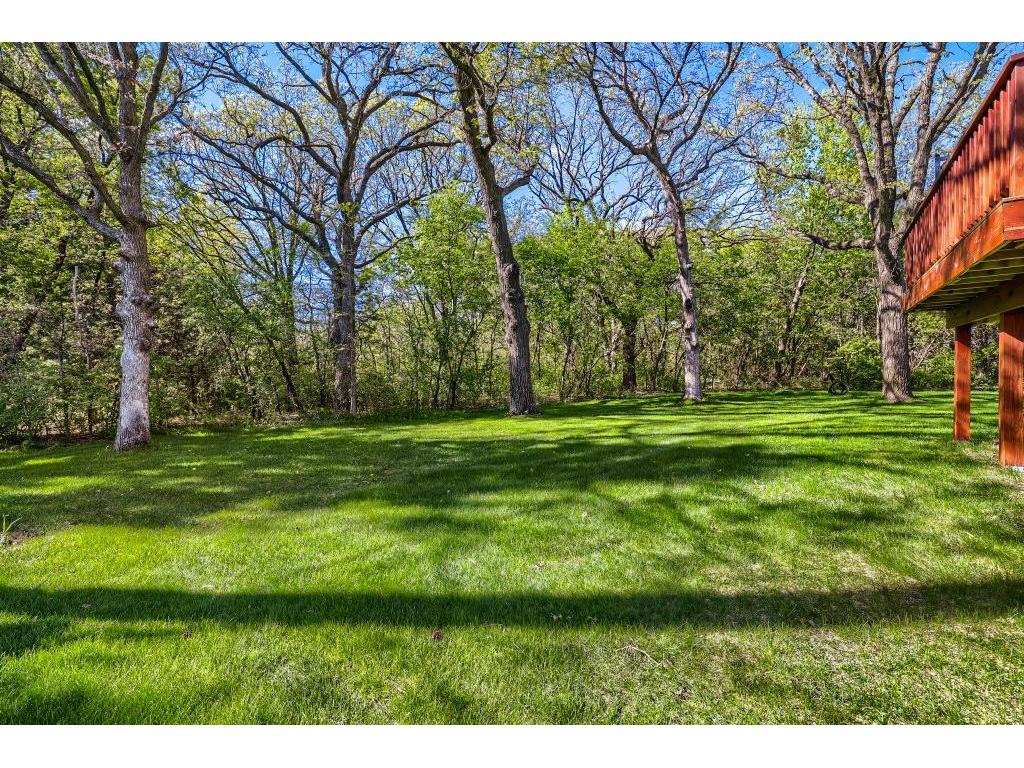 27104 115th Street NW Livonia Twp MN 55398 7073502 image6