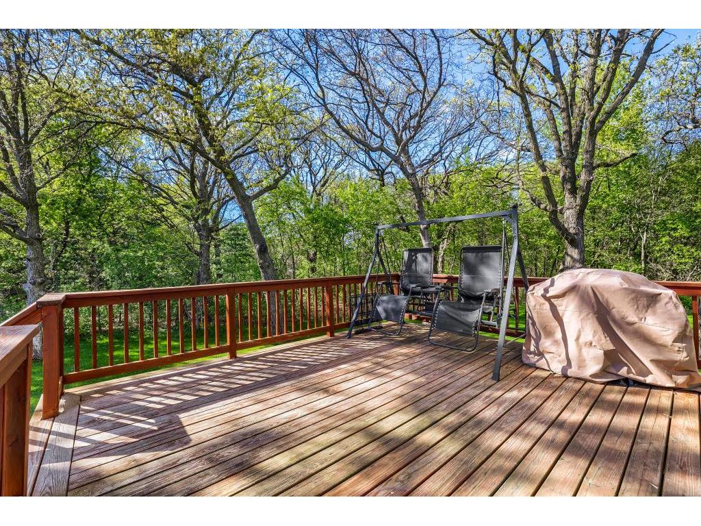 27104 115th Street NW Livonia Twp MN 55398 7073502 image7