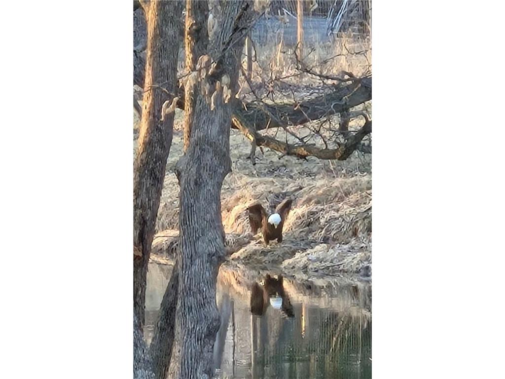 27111 Timber Hills Lane Battle Lake MN 56515 - Otter Tail River 7060686 image91