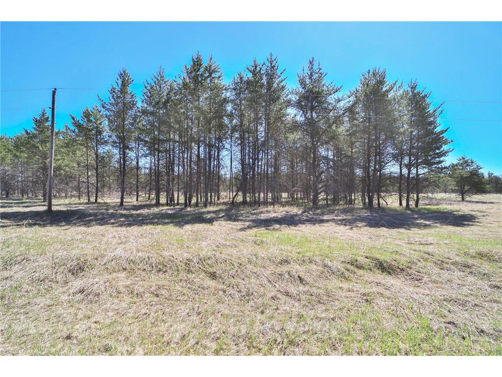 27125 132nd Street Staples MN 56479 - Crow Wing River 7032385 image56