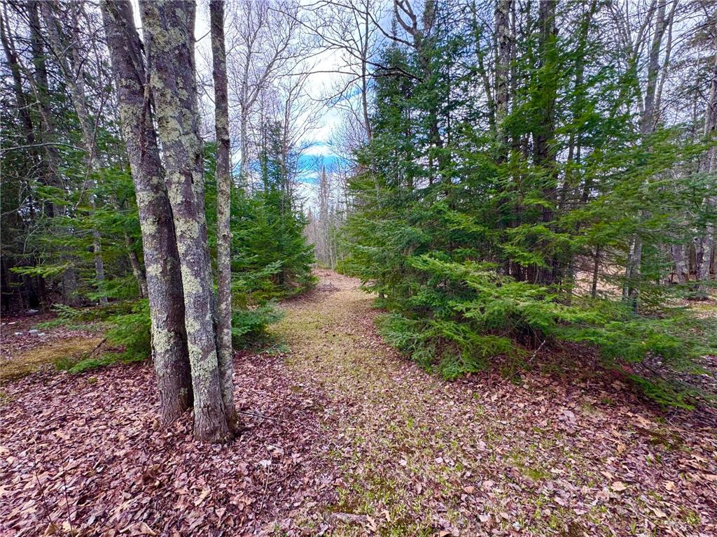 27135 Trout Lake Road Bovey MN 55709 7070585 image32