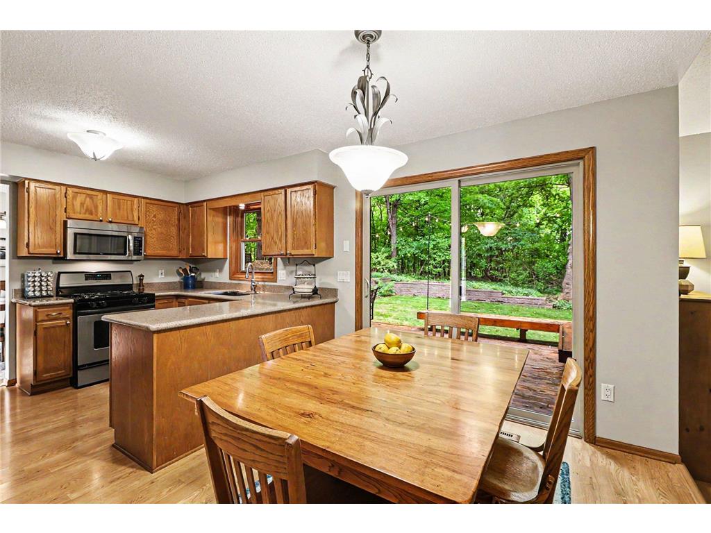 2714 Shadow Wood Court Chaska MN 55318 7022393 image5