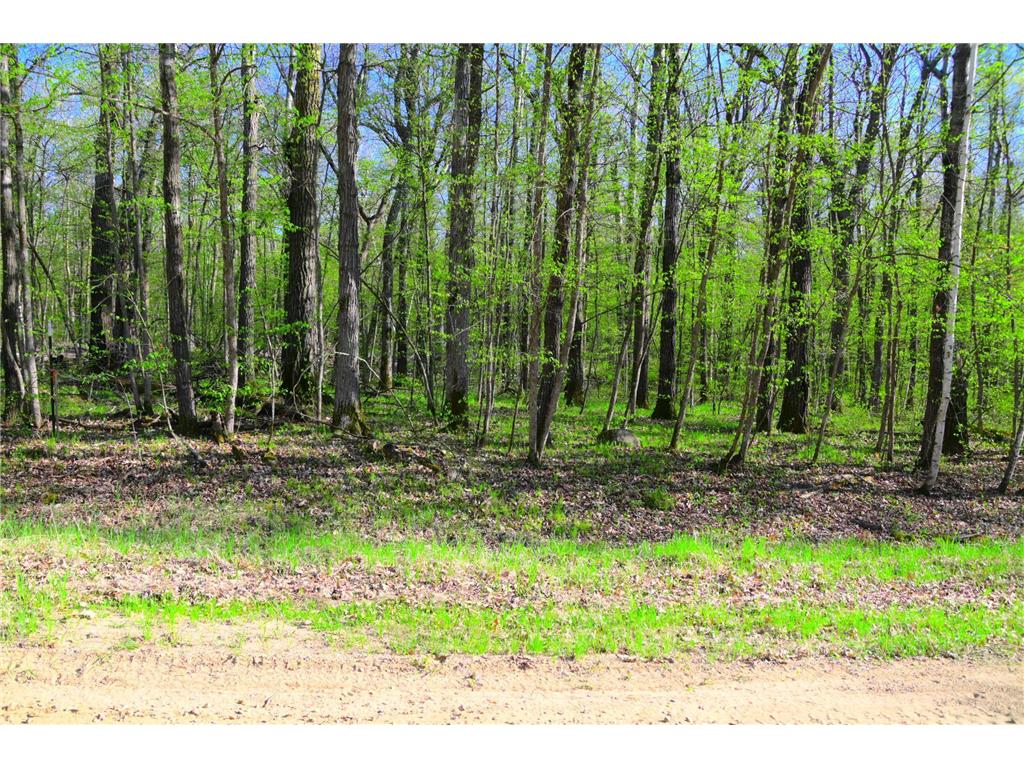 27152 Ode Circle Moran Twp MN 56438 7034468 image10
