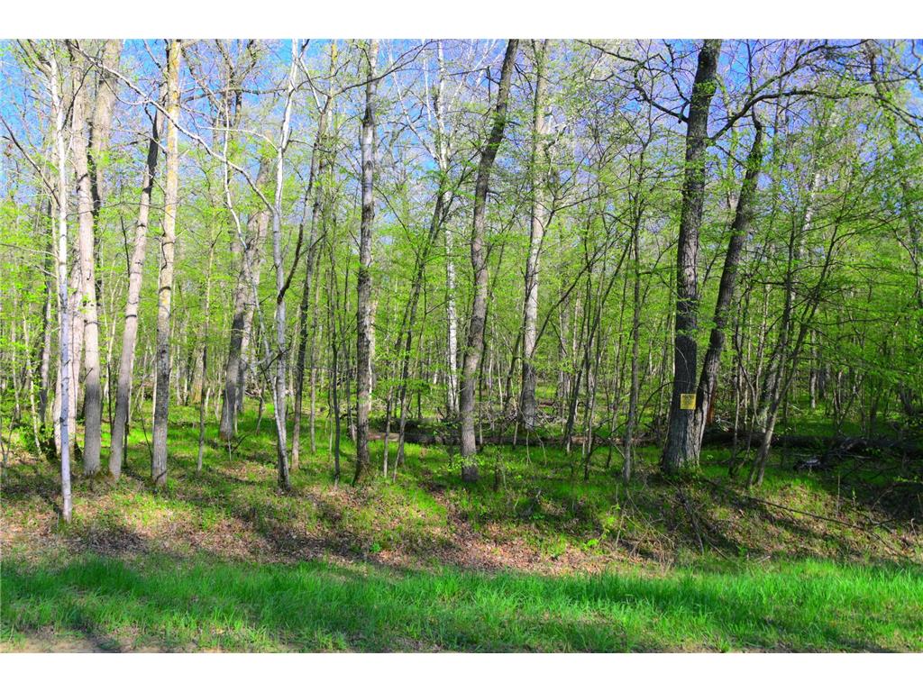 27152 Ode Circle Moran Twp MN 56438 7034468 image11