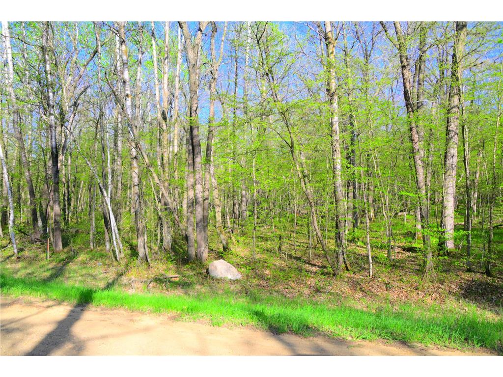 27152 Ode Circle Moran Twp MN 56438 7034468 image13
