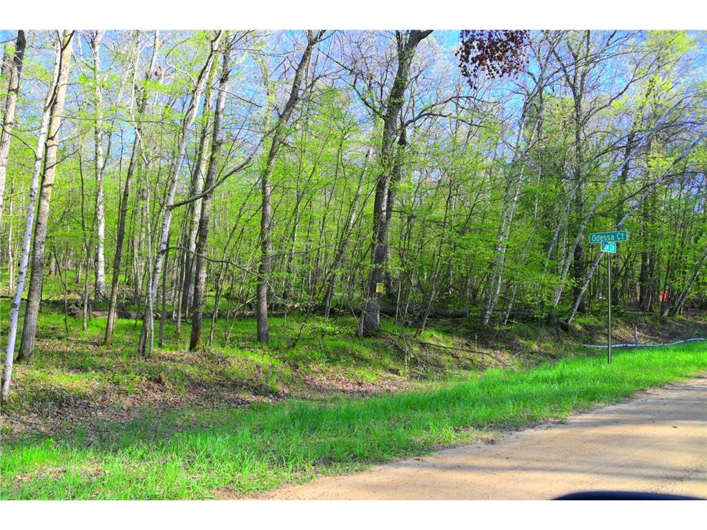 27152 Ode Circle Moran Twp MN 56438 7034468 image14