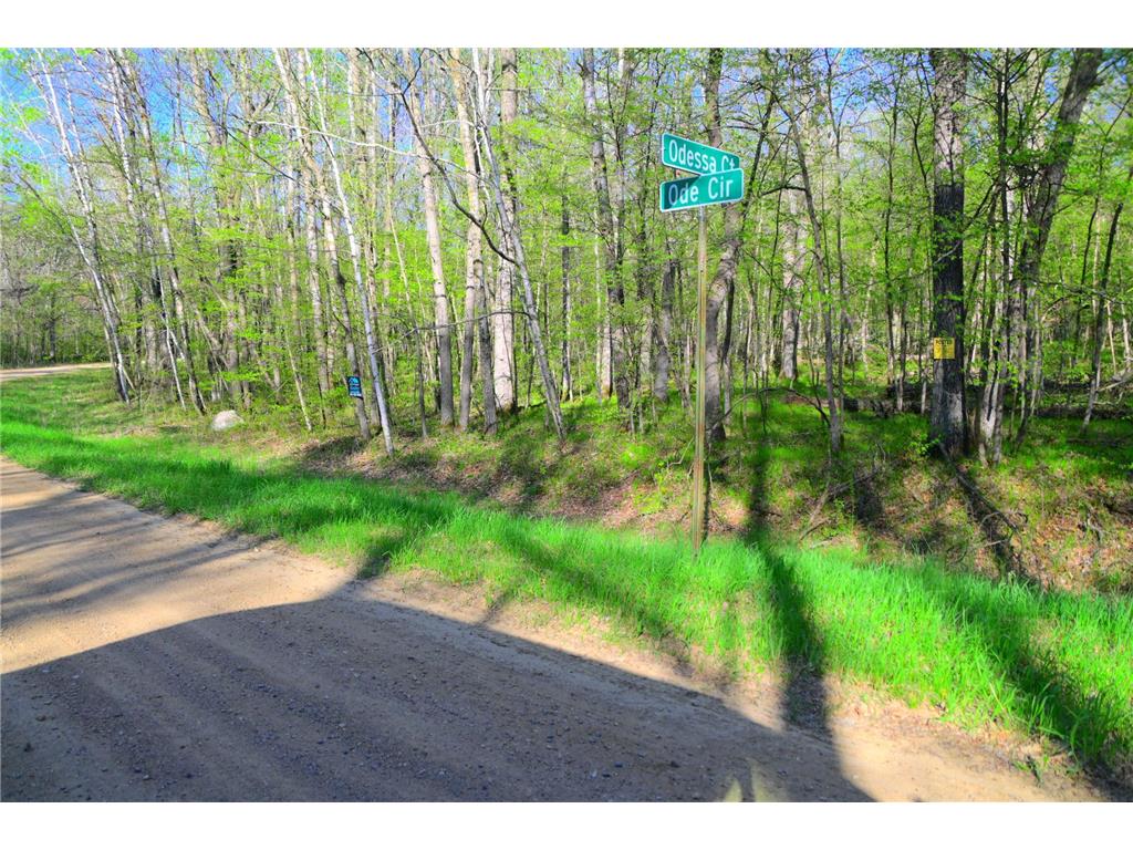 27152 Ode Circle Moran Twp MN 56438 7034468 image15