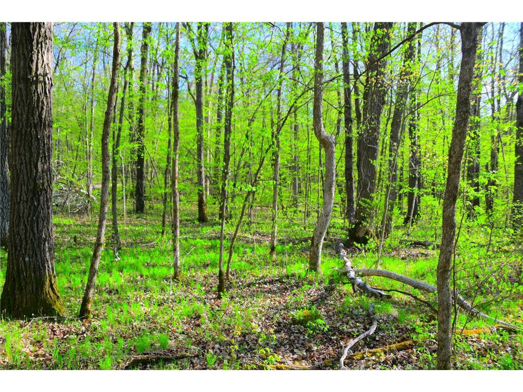 27152 Ode Circle Moran Twp MN 56438 7034468 image17