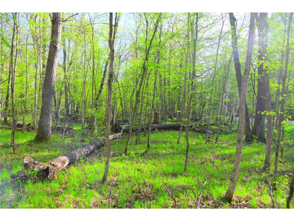 27152 Ode Circle Moran Twp MN 56438 7034468 image18