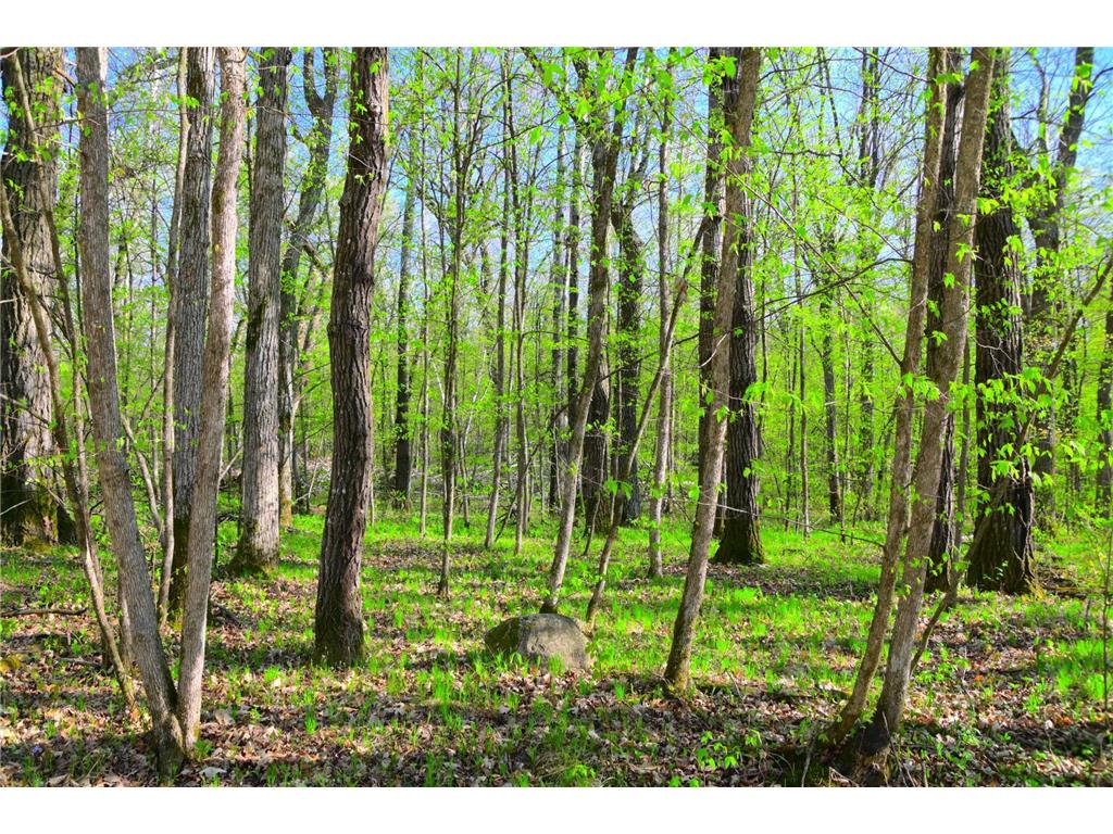 27152 Ode Circle Moran Twp MN 56438 7034468 image19