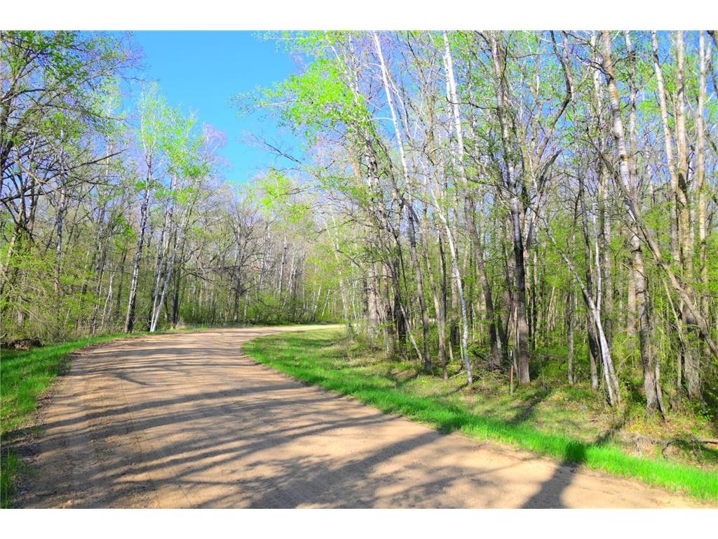 27152 Ode Circle Moran Twp MN 56438 7034468 image2