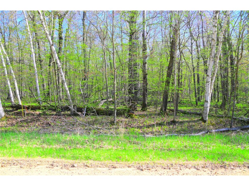 27152 Ode Circle Moran Twp MN 56438 7034468 image4