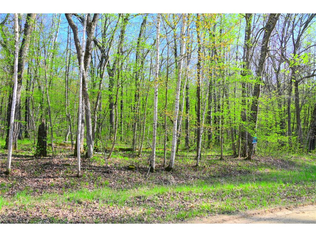 27152 Ode Circle Moran Twp MN 56438 7034468 image5