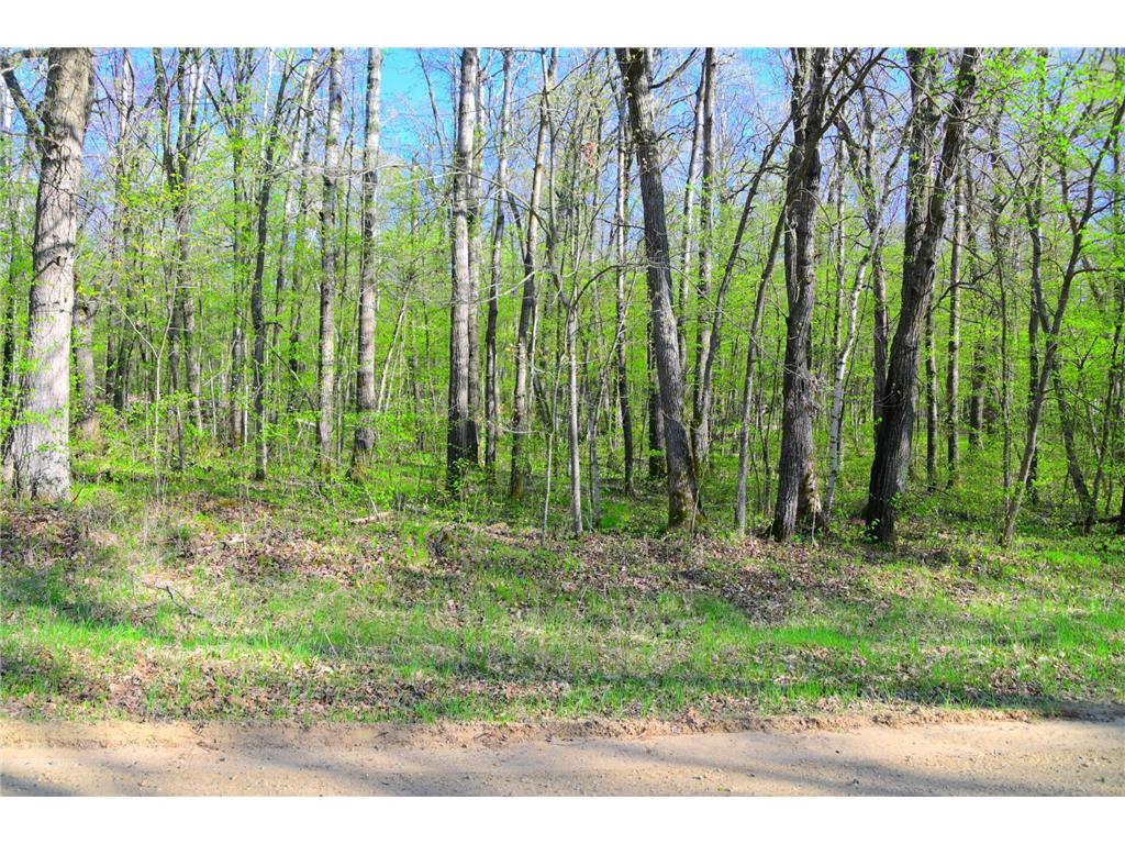 27152 Ode Circle Moran Twp MN 56438 7034468 image7