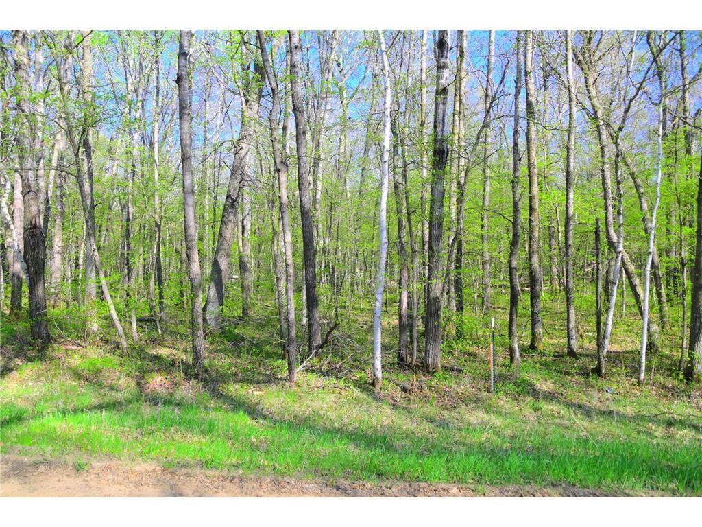 27152 Ode Circle Moran Twp MN 56438 7034468 image8