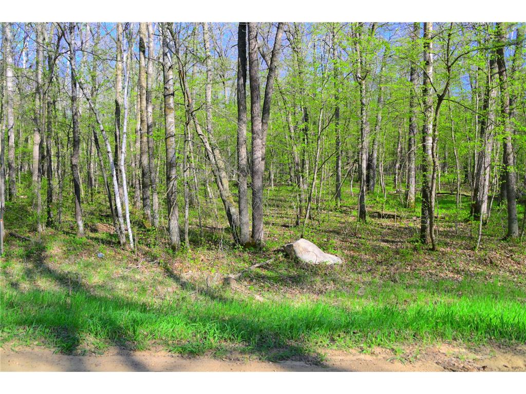 27152 Ode Circle Moran Twp MN 56438 7034468 image9