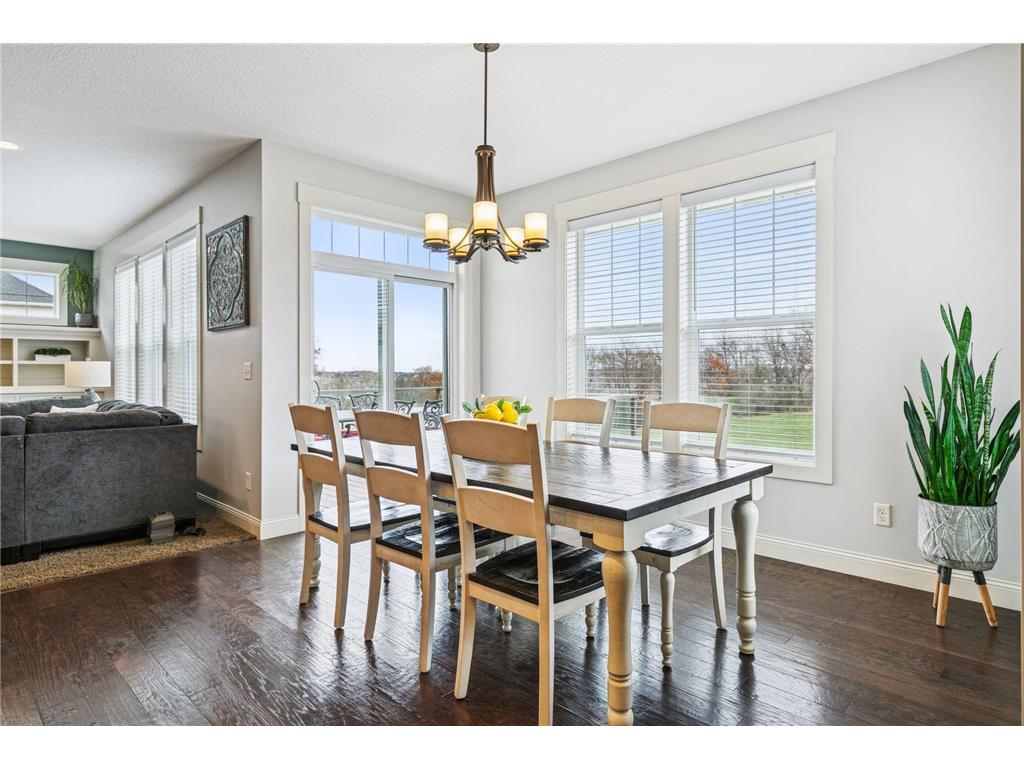 27155 Hickory Ridge Drive Elko New Market MN 55020 6812260 image16