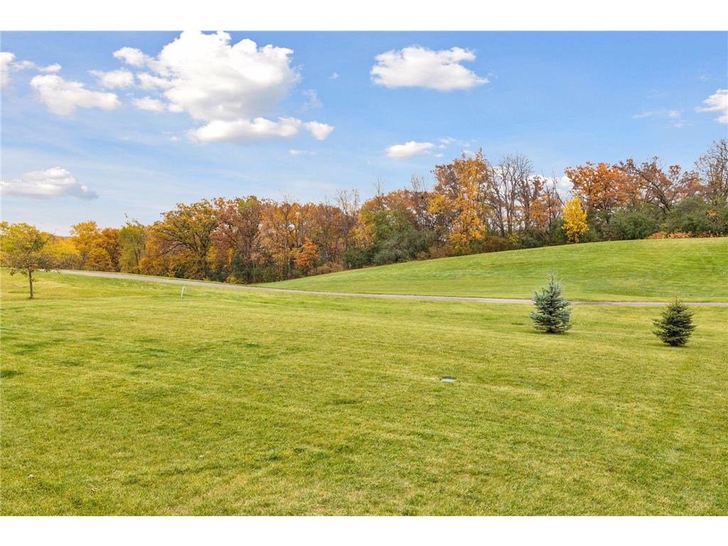 27155 Hickory Ridge Drive Elko New Market MN 55020 6812260 image49