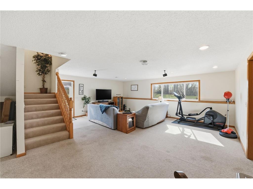 2717 County Road 4 SW Cokato MN 55321 - Cokato 7060467 image25