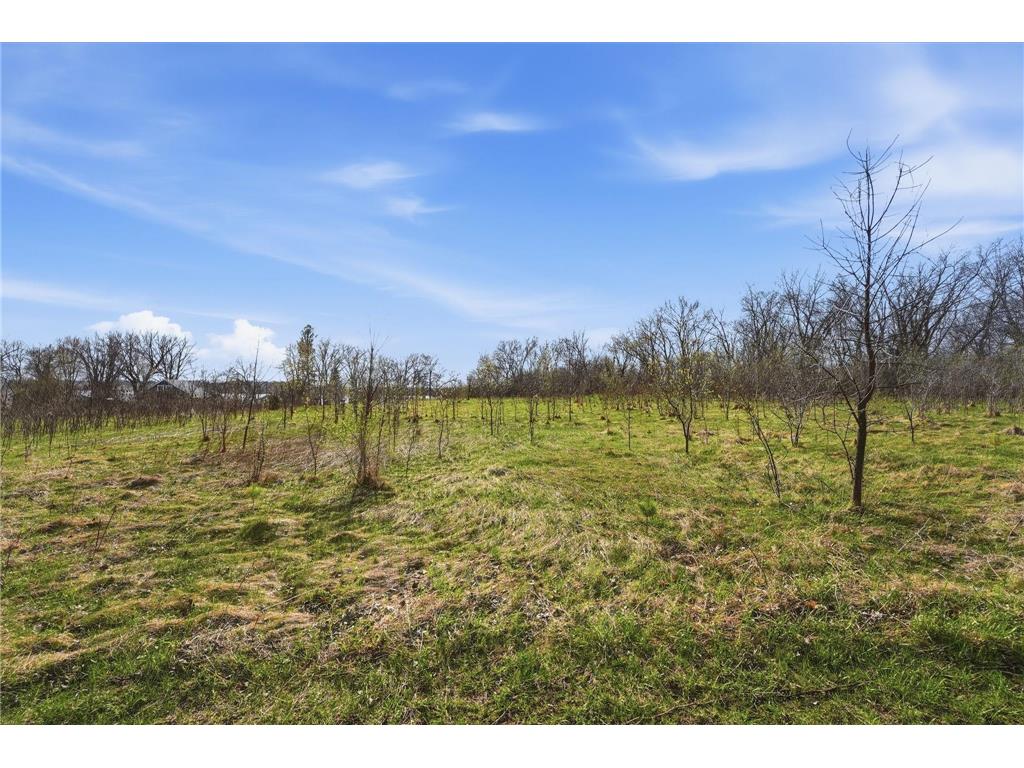 2717 County Road 4 SW Cokato MN 55321 - Cokato 7060467 image32