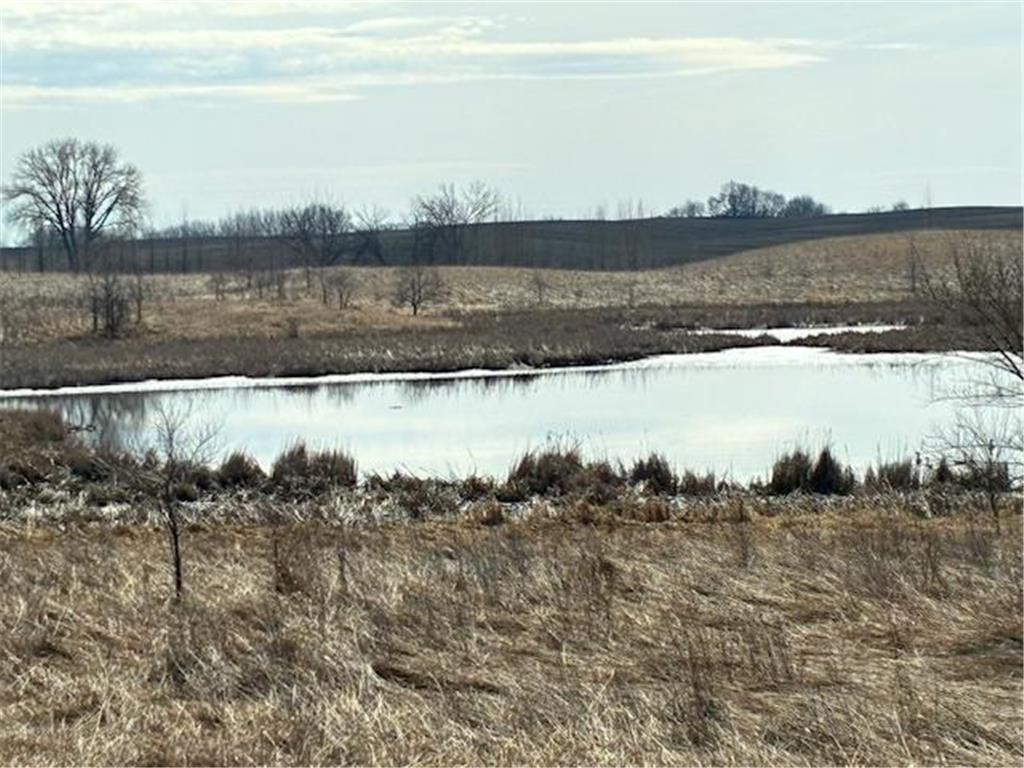 27181 Cr-10 Starbuck MN 56381 7045174 image4