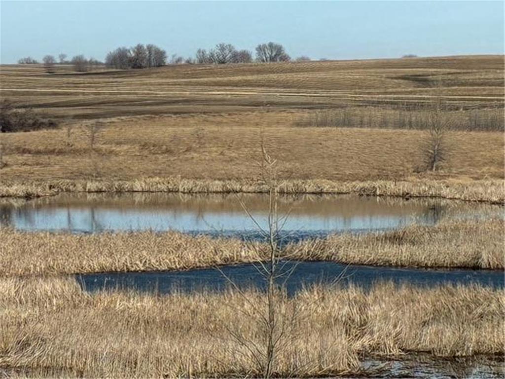 27181 Cr-10 Starbuck MN 56381 7045174 image7