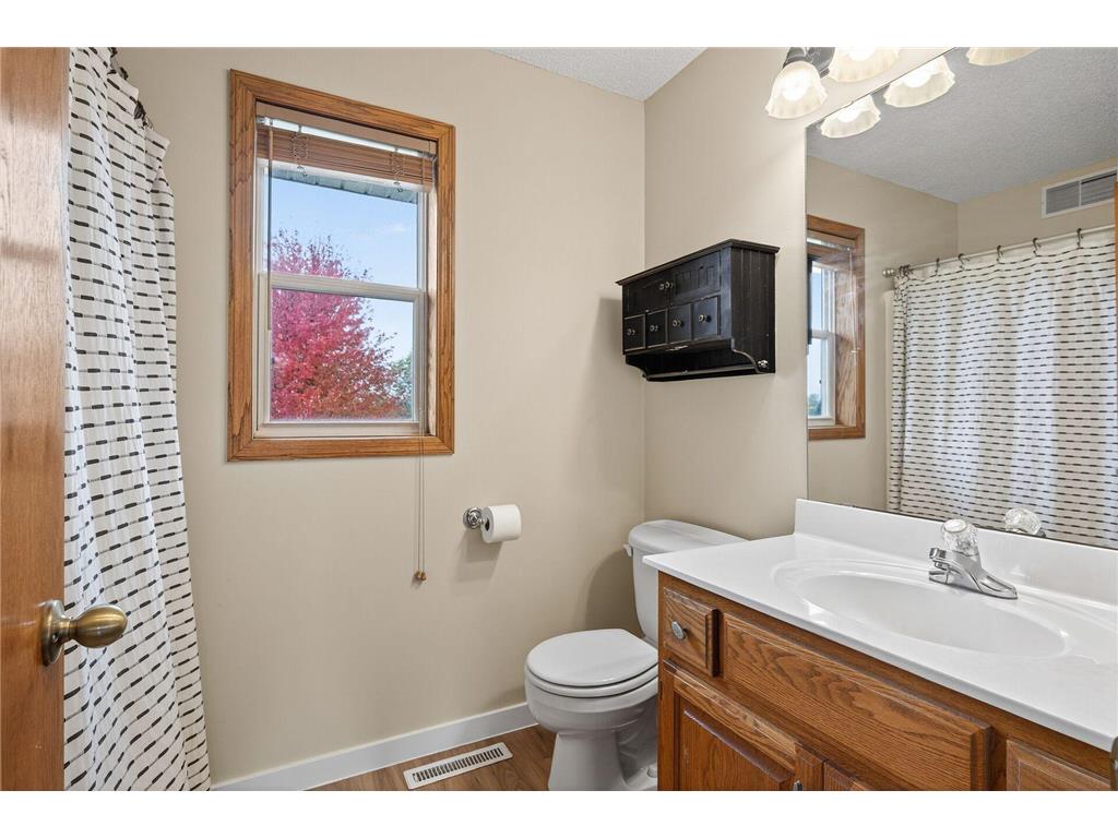 27190 Dupont Avenue New Market Twp MN 55020 7009540 image30