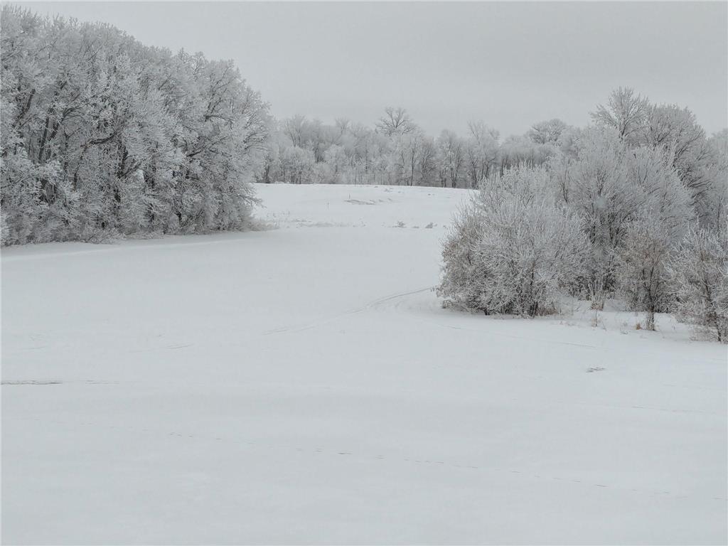 27196 Co Hwy 21 Detroit Lakes MN 56501 7006785 image4