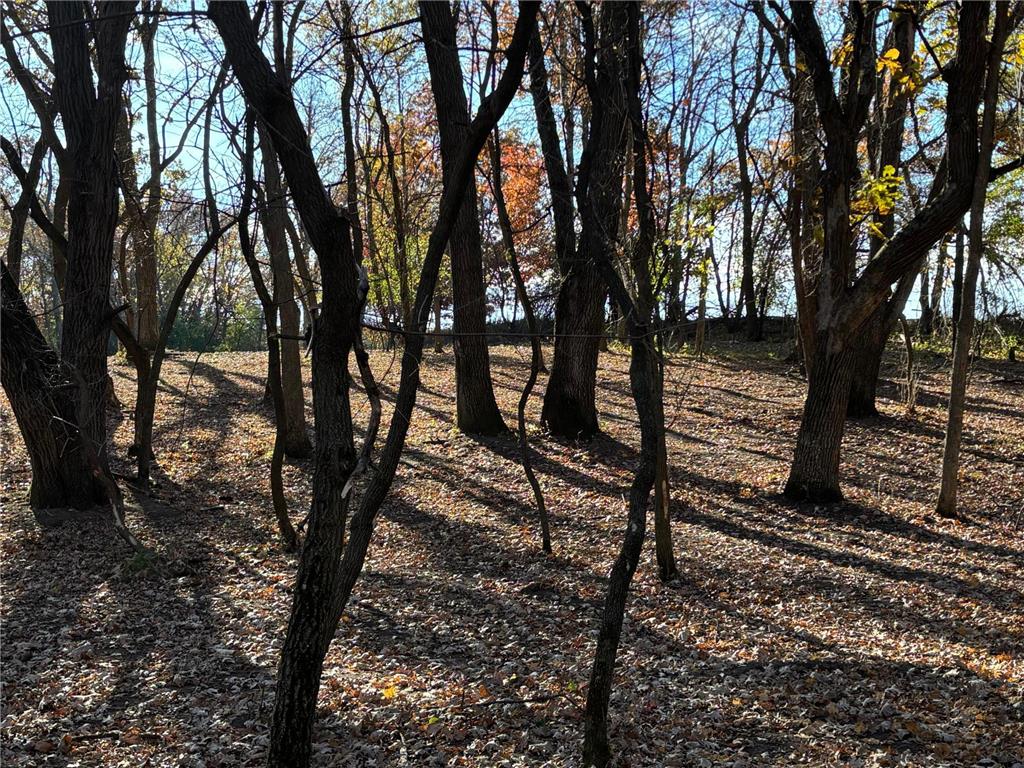 271xx Strike Boulevard Isanti MN 55040 - Rum River 6810390 image9