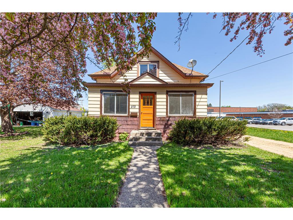 272 W Tyrone Street Le Center MN 56057 7068040 image1