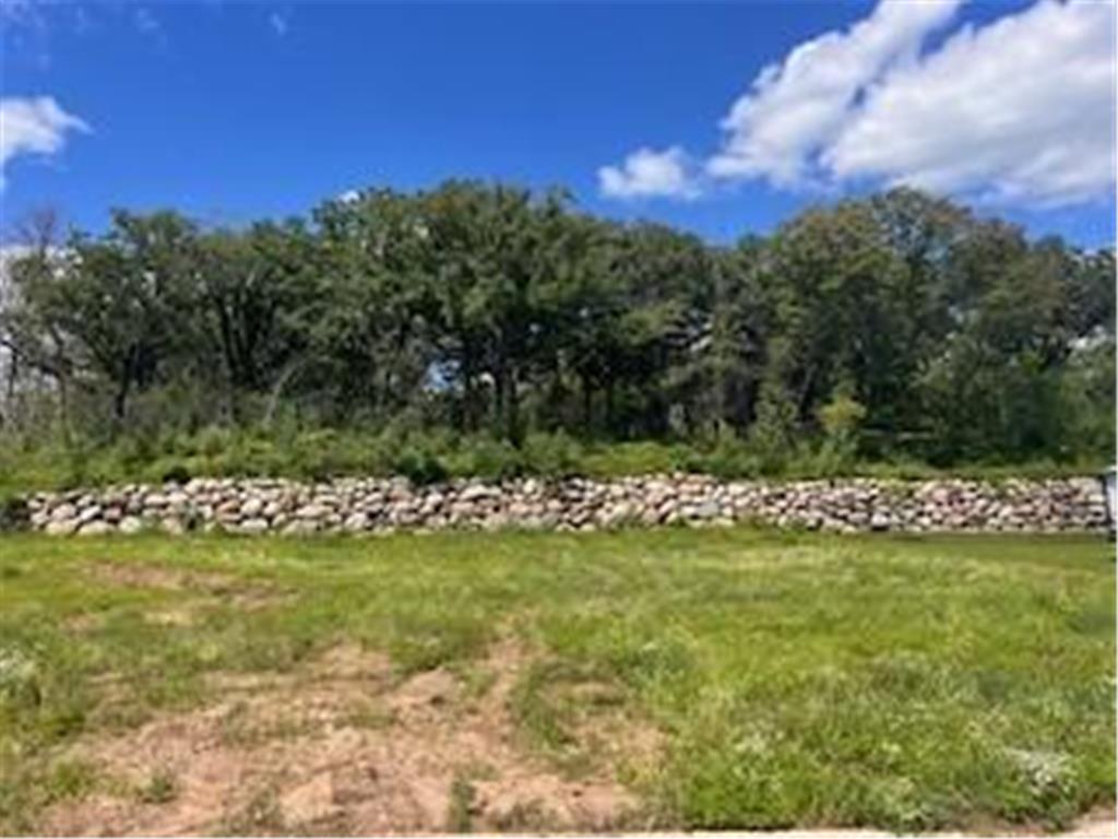 27201 Pete's Hill Trail Elko New Market MN 55020 6756253 image35