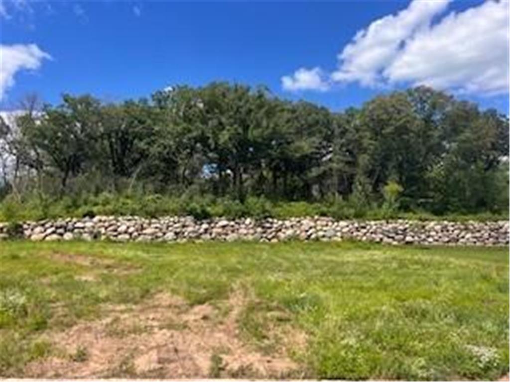 27201 Pete's Hill Trail Elko New Market MN 55020 6756253 image36