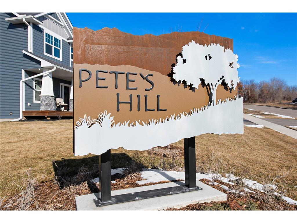 27201 Pete's Hill Trail Elko New Market MN 55020 6756253 image7