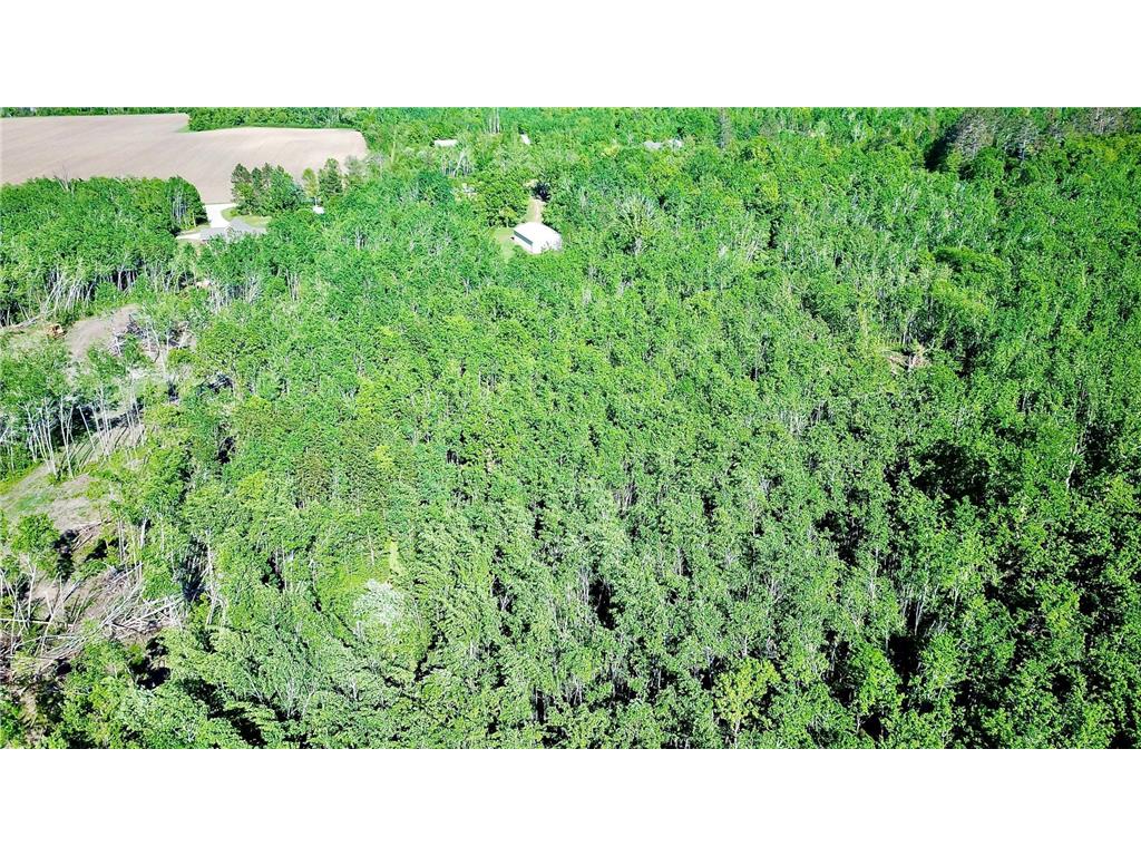 2721 Miller Road SW Grant Valley Twp MN 56601 7093296 image29