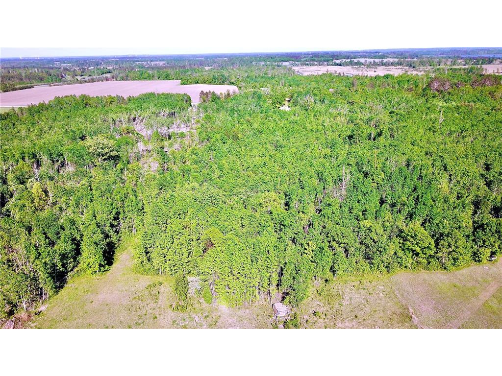 2721 Miller Road SW Grant Valley Twp MN 56601 7093296 image30