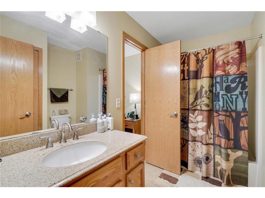 2723 Wagon Wheel Curve Chaska MN 55318 7103008 image12