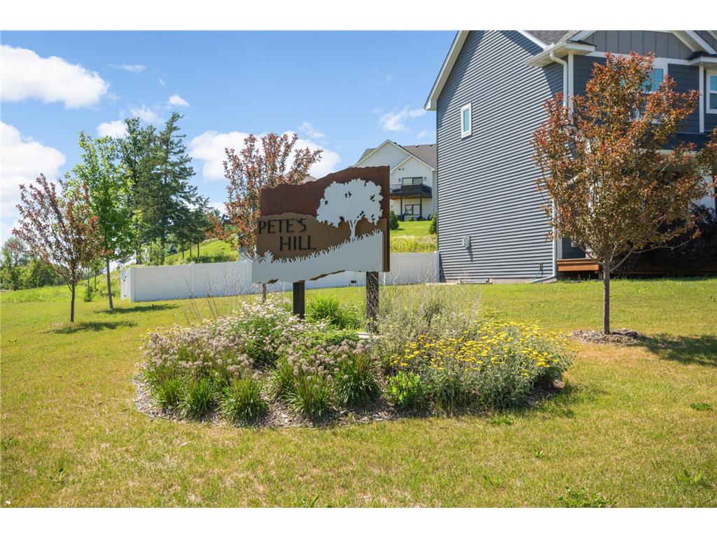 27231 Pete's Hill Trail Elko New Market MN 55020 7086363 image57