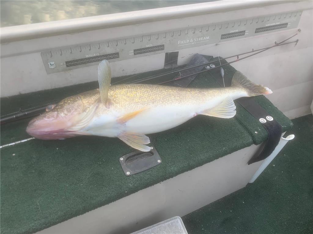 27238 County Highway 83 Everts Twp MN 56515 - Deer Lake 7030076 image46