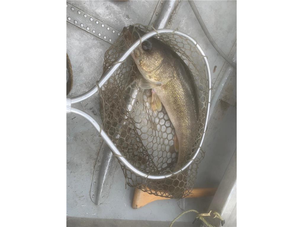 27238 County Highway 83 Everts Twp MN 56515 - Deer Lake 7030076 image47