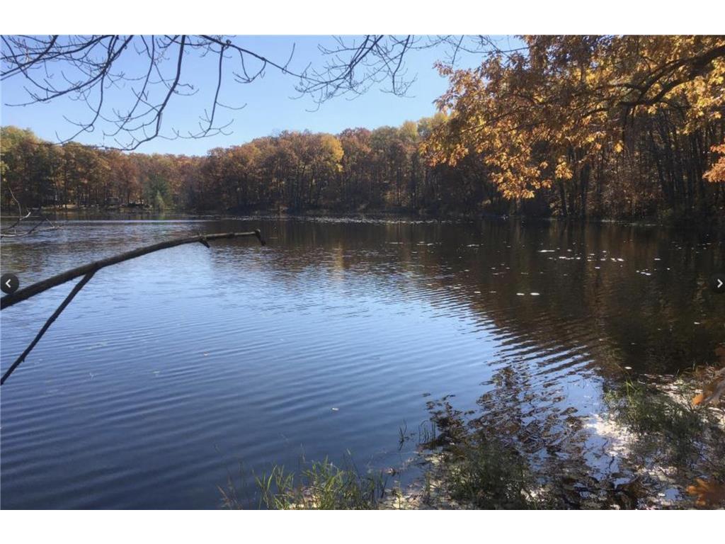 27238 Red Stone Drive Cushing Twp MN 56443 6515704 image1