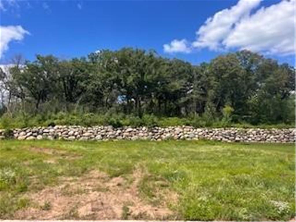 27241 Pete's Hill Trail Elko New Market MN 55020 6756260 image34