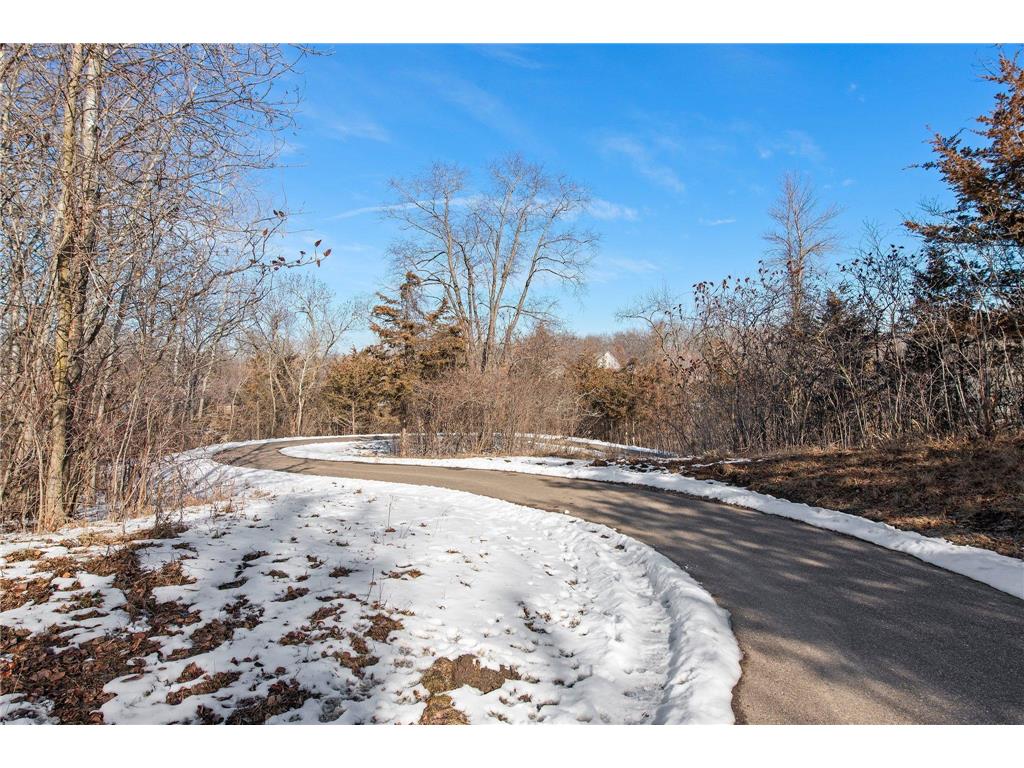 27241 Pete's Hill Trail Elko New Market MN 55020 6756260 image9