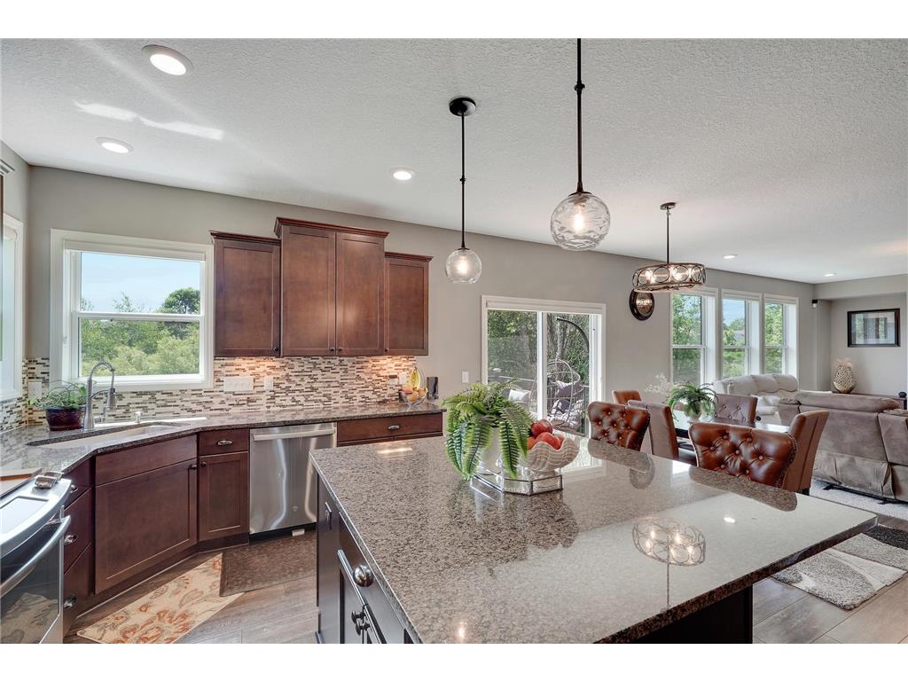 2726 128th Avenue NE Blaine MN 55449 7089522 image9