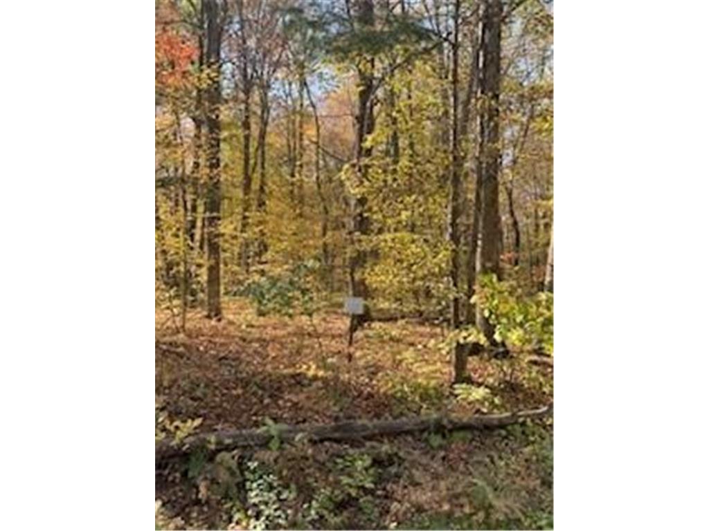 2728 28 3/8 Street Cedar Lake Twp WI 54817 - Red Cedar 7012918 image18