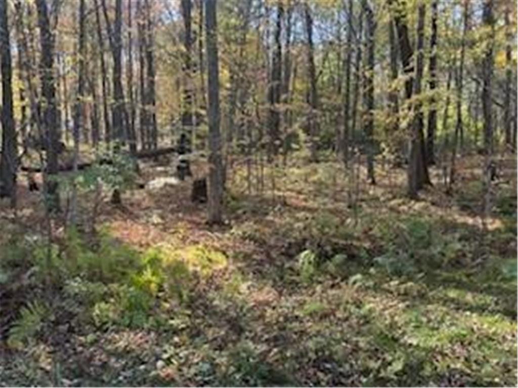 2728 28 3/8 Street Cedar Lake Twp WI 54817 - Red Cedar 7012918 image20