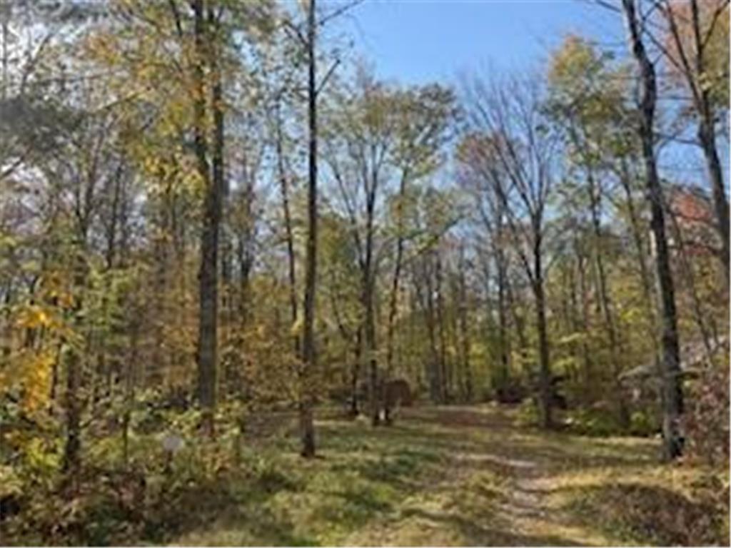 2728 28 3/8 Street Cedar Lake Twp WI 54817 - Red Cedar 7012918 image23