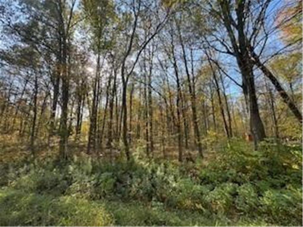 2728 28 3/8 Street Cedar Lake Twp WI 54817 - Red Cedar 7012918 image25