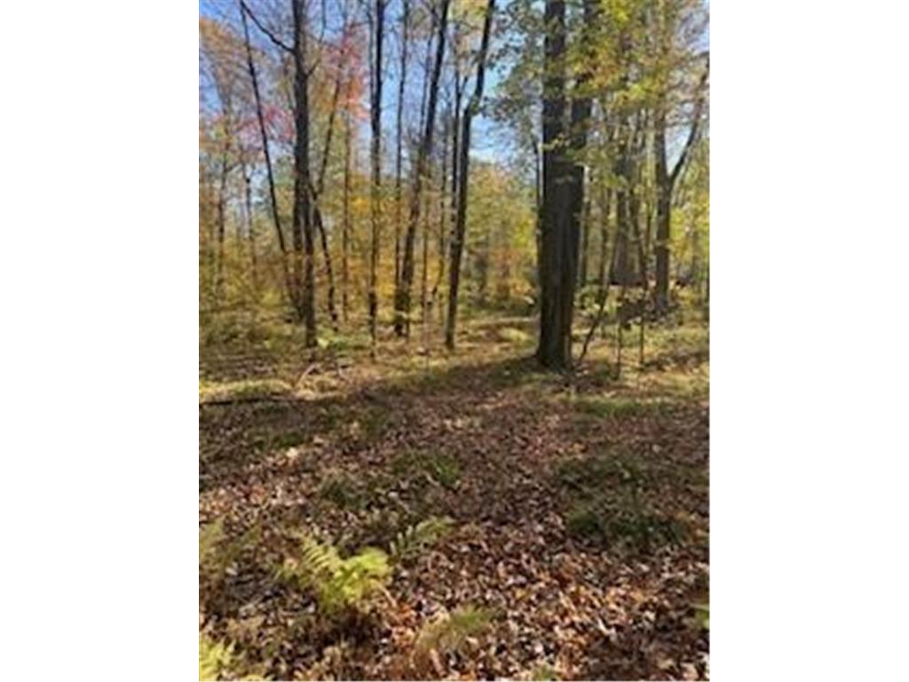 2728 28 3/8 Street Cedar Lake Twp WI 54817 - Red Cedar 7012918 image7