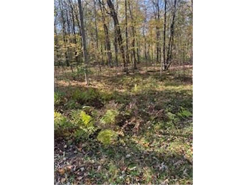 2728 28 3/8 Street Cedar Lake Twp WI 54817 - Red Cedar 7012918 image9